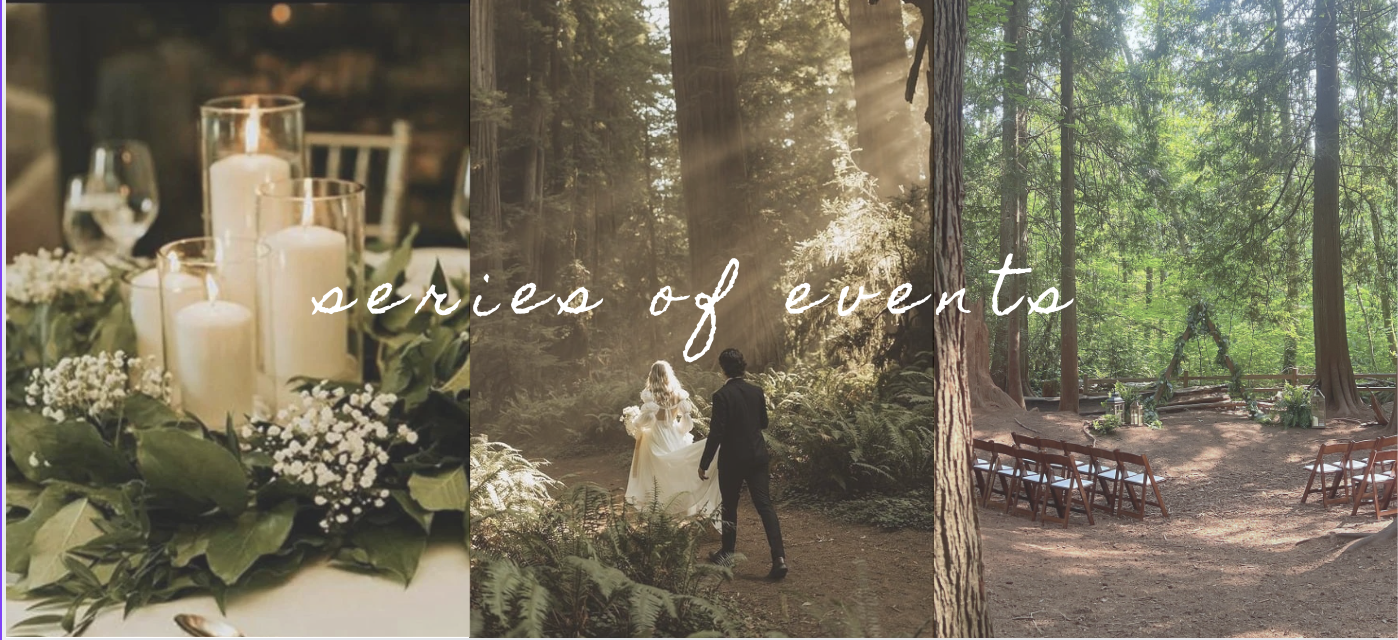 The Wedding Website of Arielle McCarthy and Krzysztof Korniak