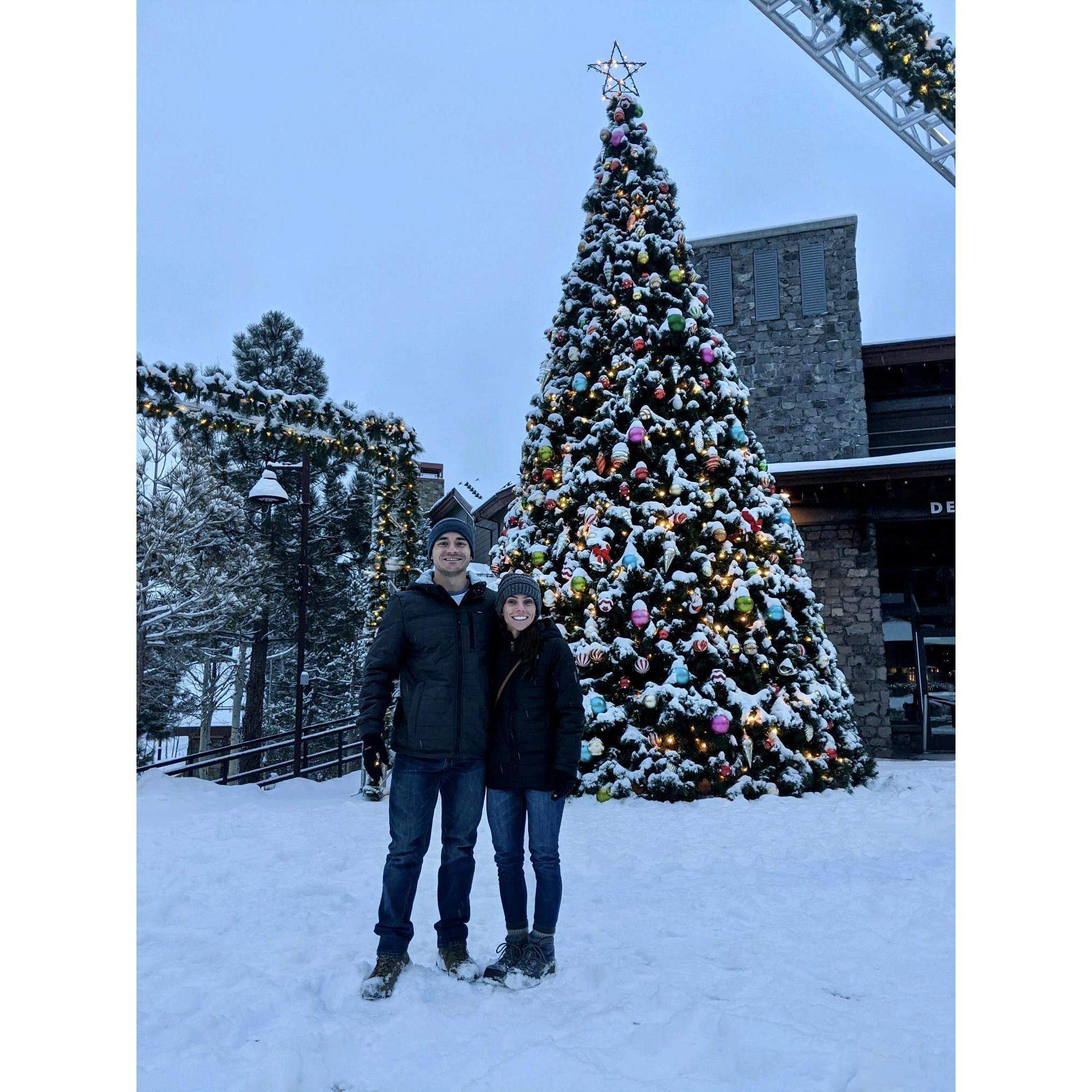 Mammoth - December 2020