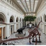 Field Museum