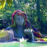 Atlanta Botanical Garden