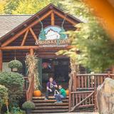 Adirondack Extreme Adventure Course