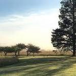 Field Farm Reservation