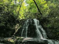 Laurel Falls Trail