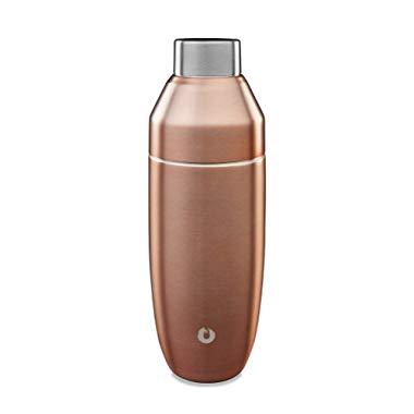 Snowfox Double Wall Insulated Stainless Steel, Shaker, Gold
