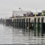 Mackerel Fishing off the Pier