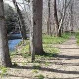 Wolf Creek Trail