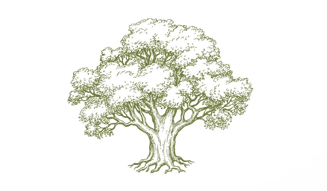 Footer image