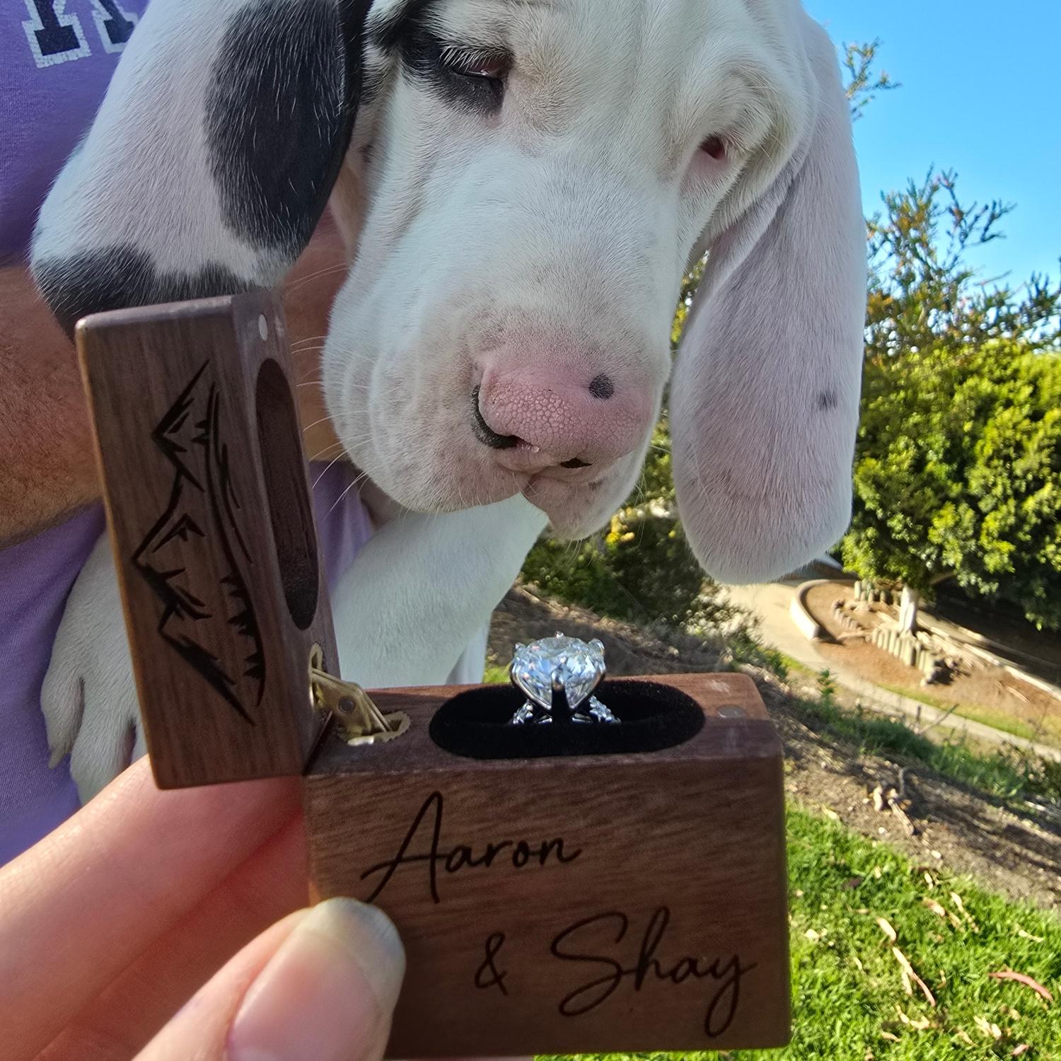 Engagement announcement with K'Nute!