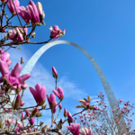 The Gateway Arch