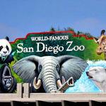 San Diego Zoo