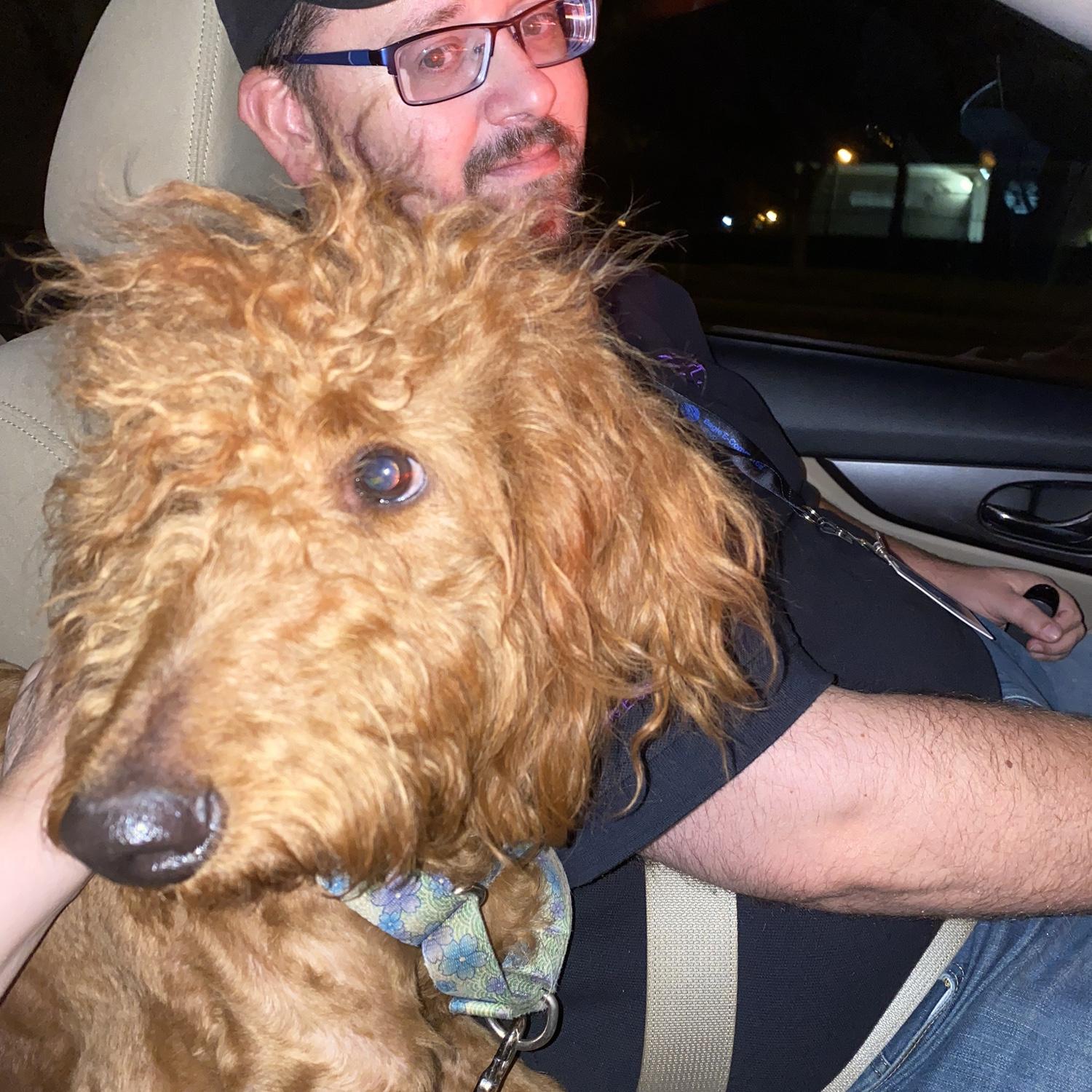 Adopting our first dog - Fraggle ❤️