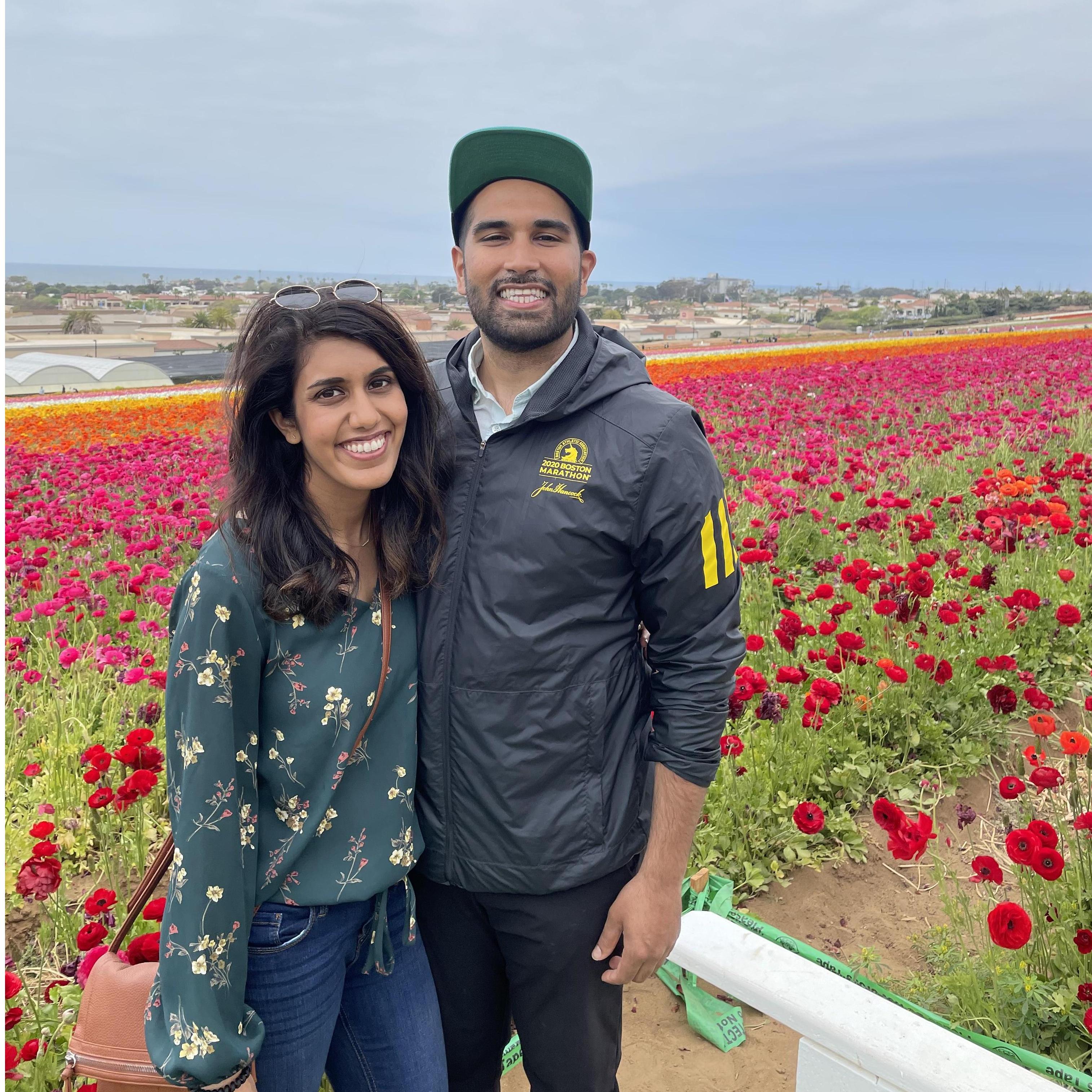 Wandering around California
