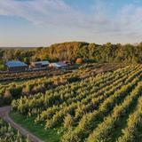 Solebury Orchards