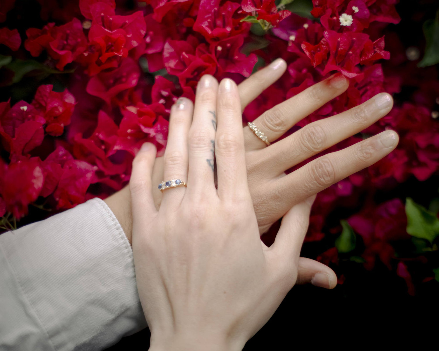 The Wedding Website of Ariana Husain and Stephanie Ngan