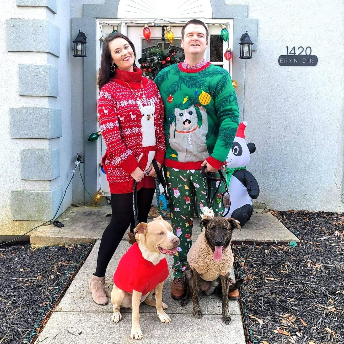 Our 1st Christmas in the new house!