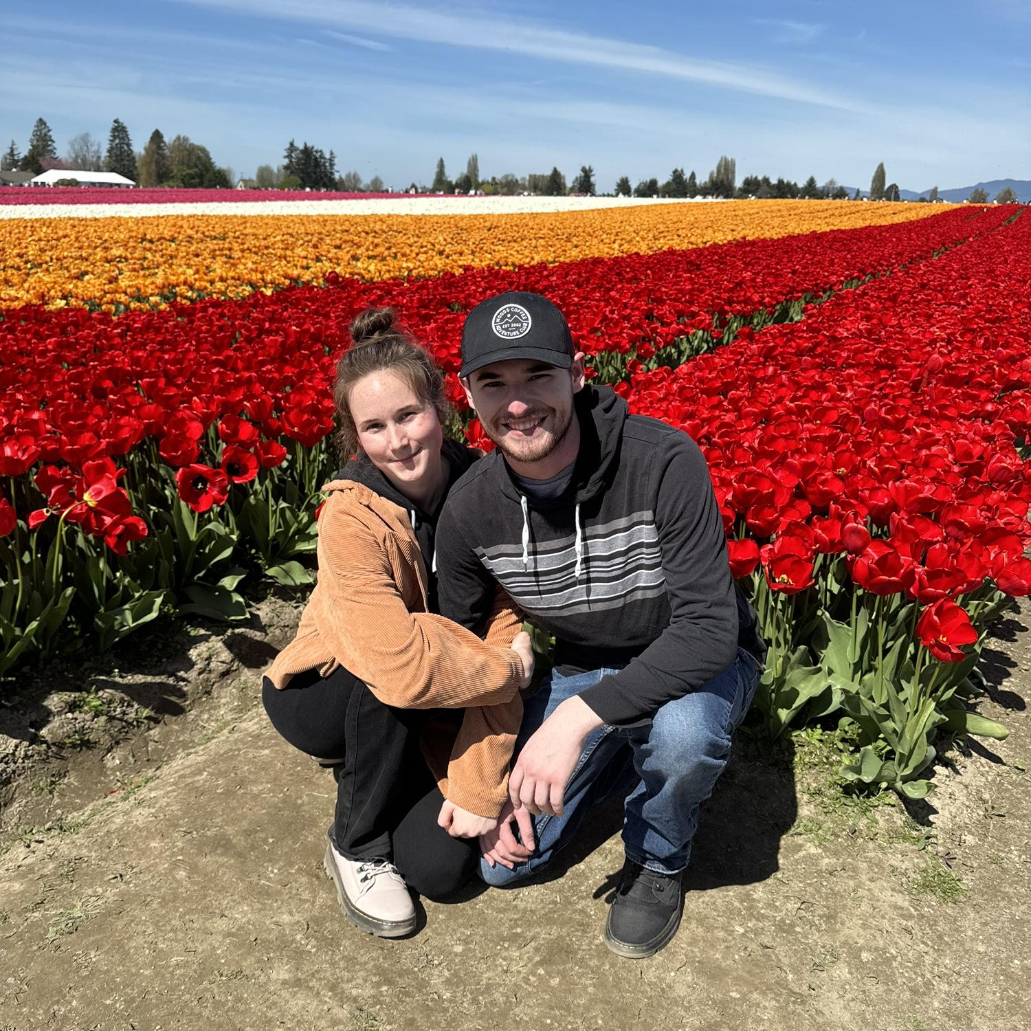 Tulip festival in Mt Vernon.