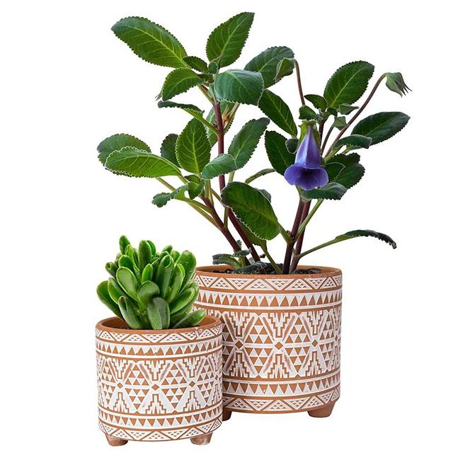 Set of 2 Plant Pots, 4 Inch & 6 Inch, Ceramic Planter Pot with Drainage Hole, Totem Patterns Flower Pot, Terracotta/White