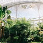 Botanic Gardens