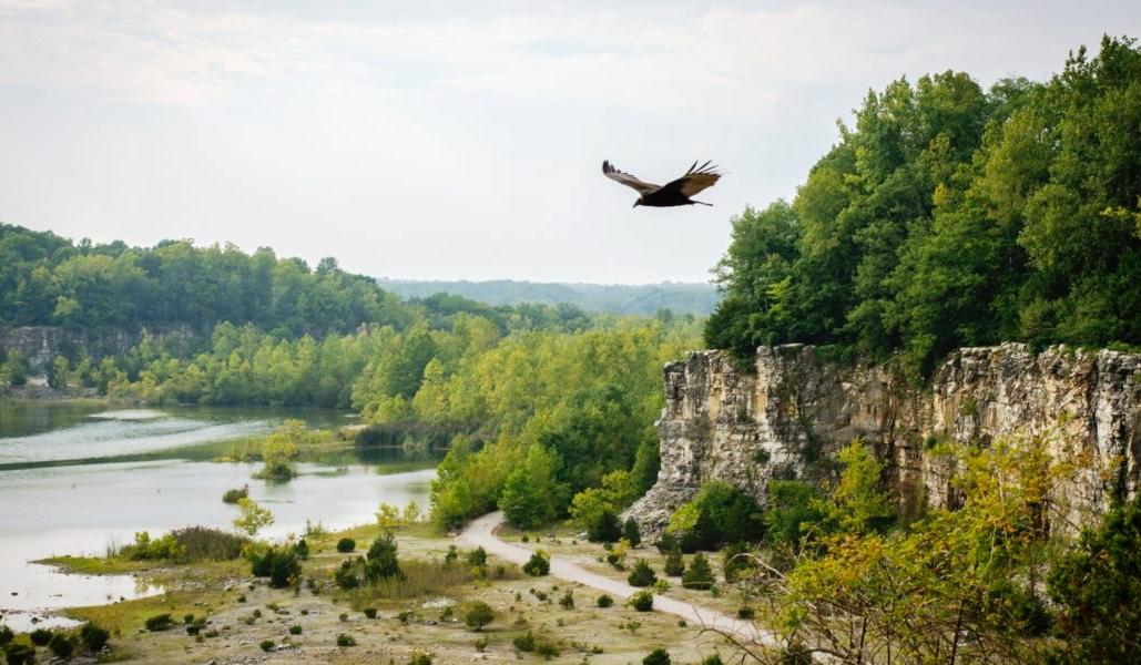 The Wedding Website of Lauryn Flynn and Erik Stine