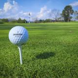 Lingfield Park Golf Club