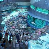 National Aquarium