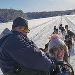Dog Sled Tours