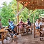 Innovation Brewing