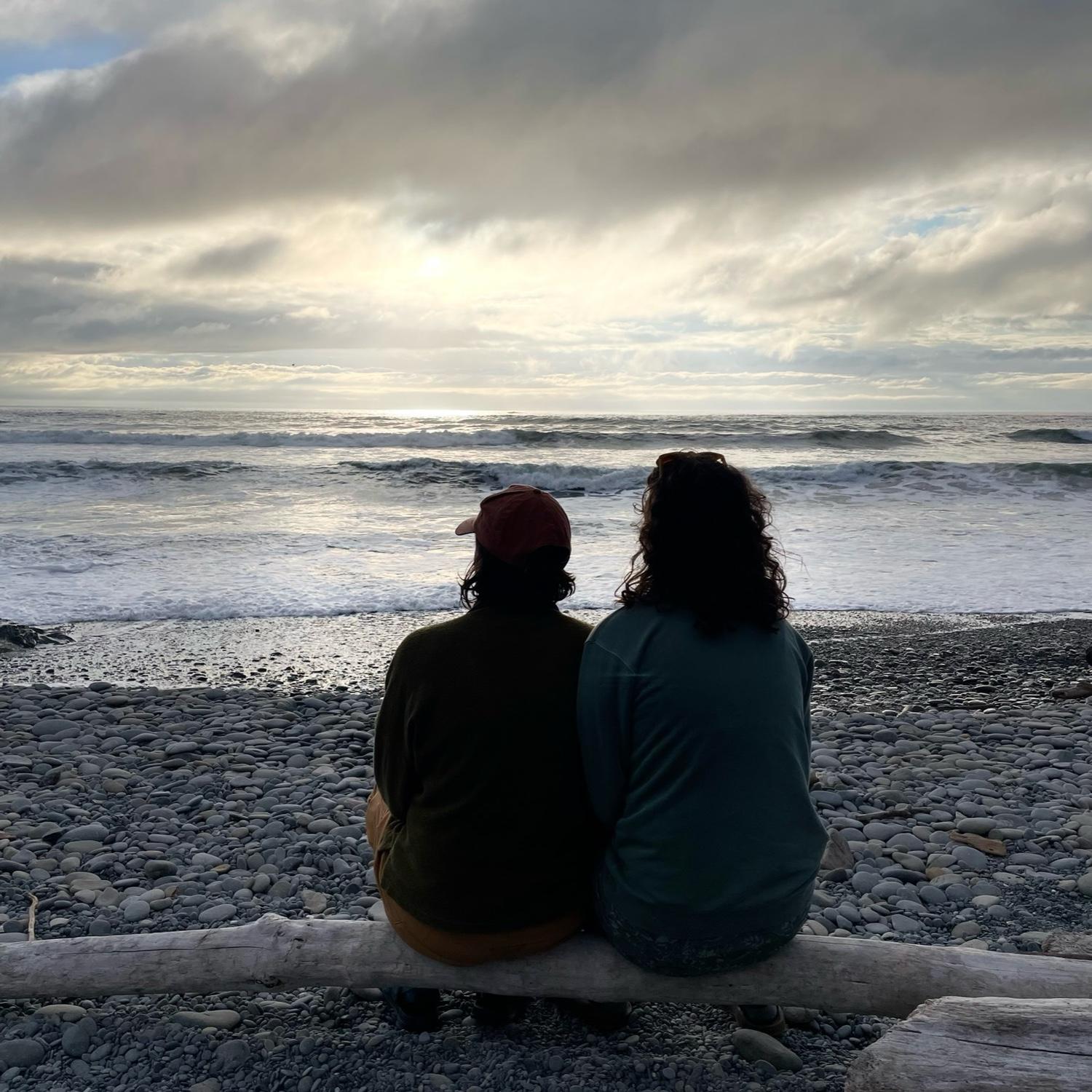Pebble beach in Olympic National Park
