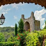 Olive Oil Tasting in Peratallada