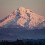 Mt. Hood