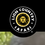 Lion Country Safari