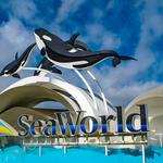 SeaWorld Orlando