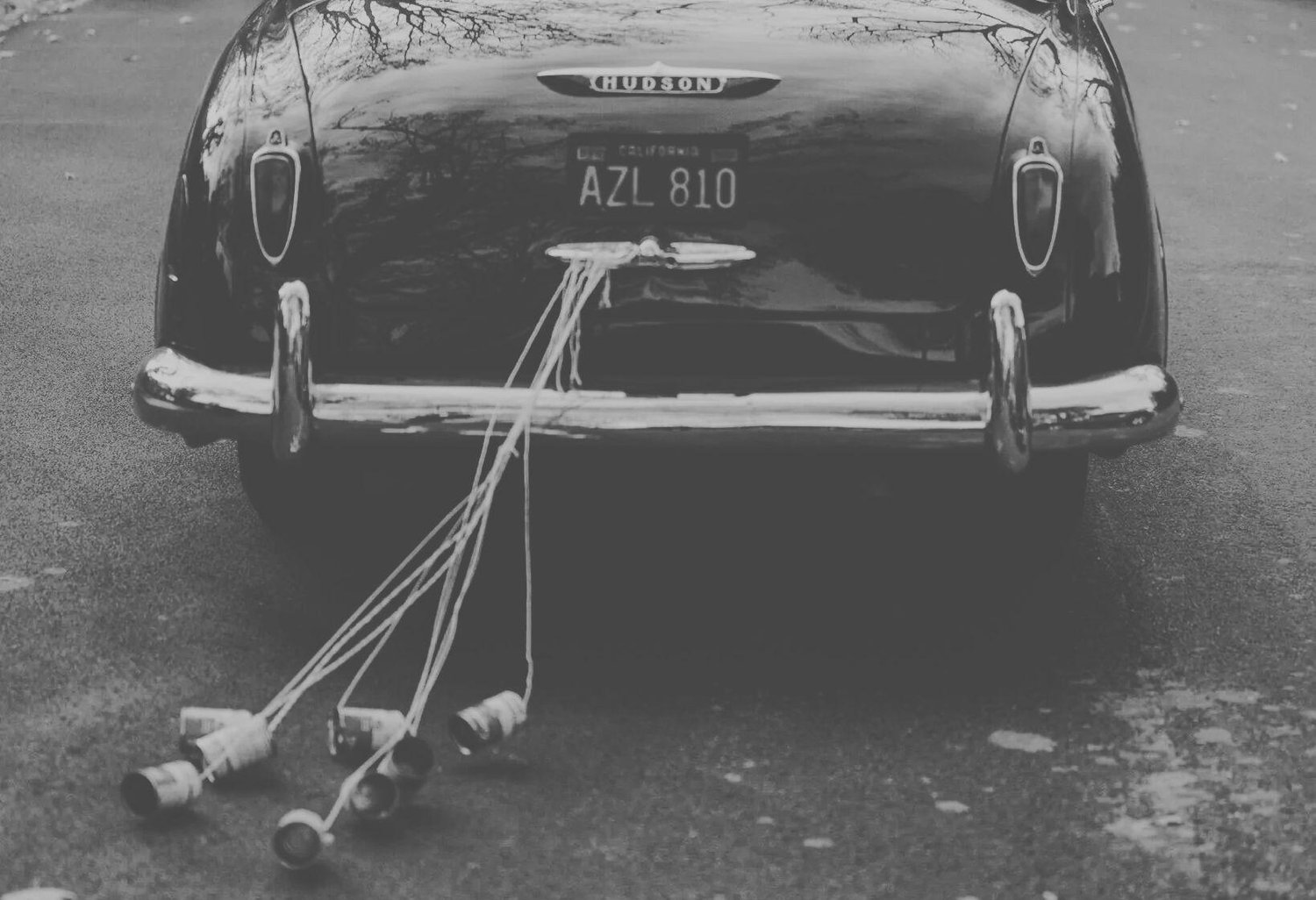 The Wedding Website of Lily Rexing and Oean Wells