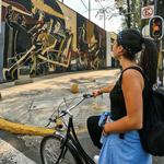 Airbnb Mexico City Off The Beaten Track, Food & Bikes