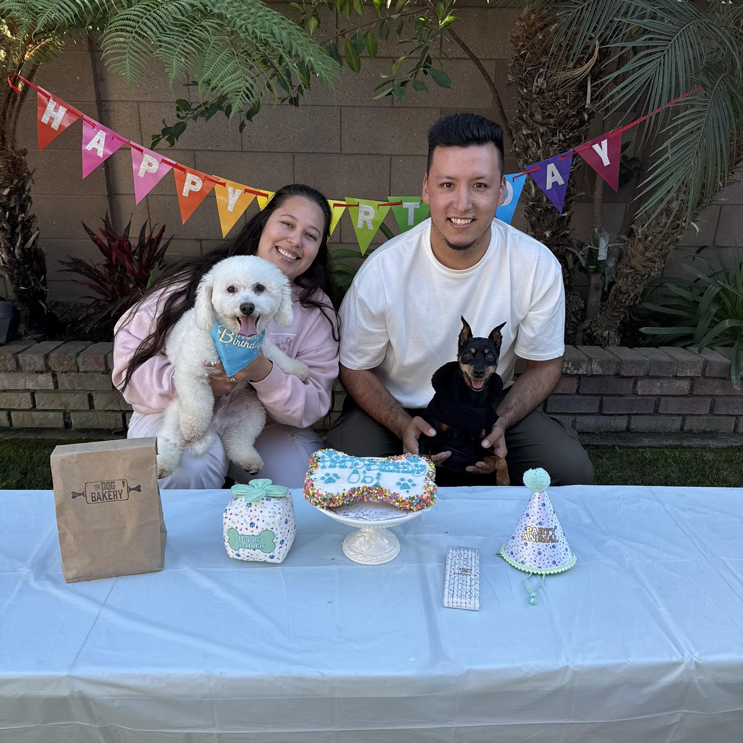 Our fur babies!