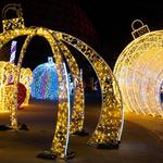 Zoolightful at Omaha's Henry Doorly Zoo and Aquarium