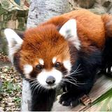 Henry Vilas Zoo