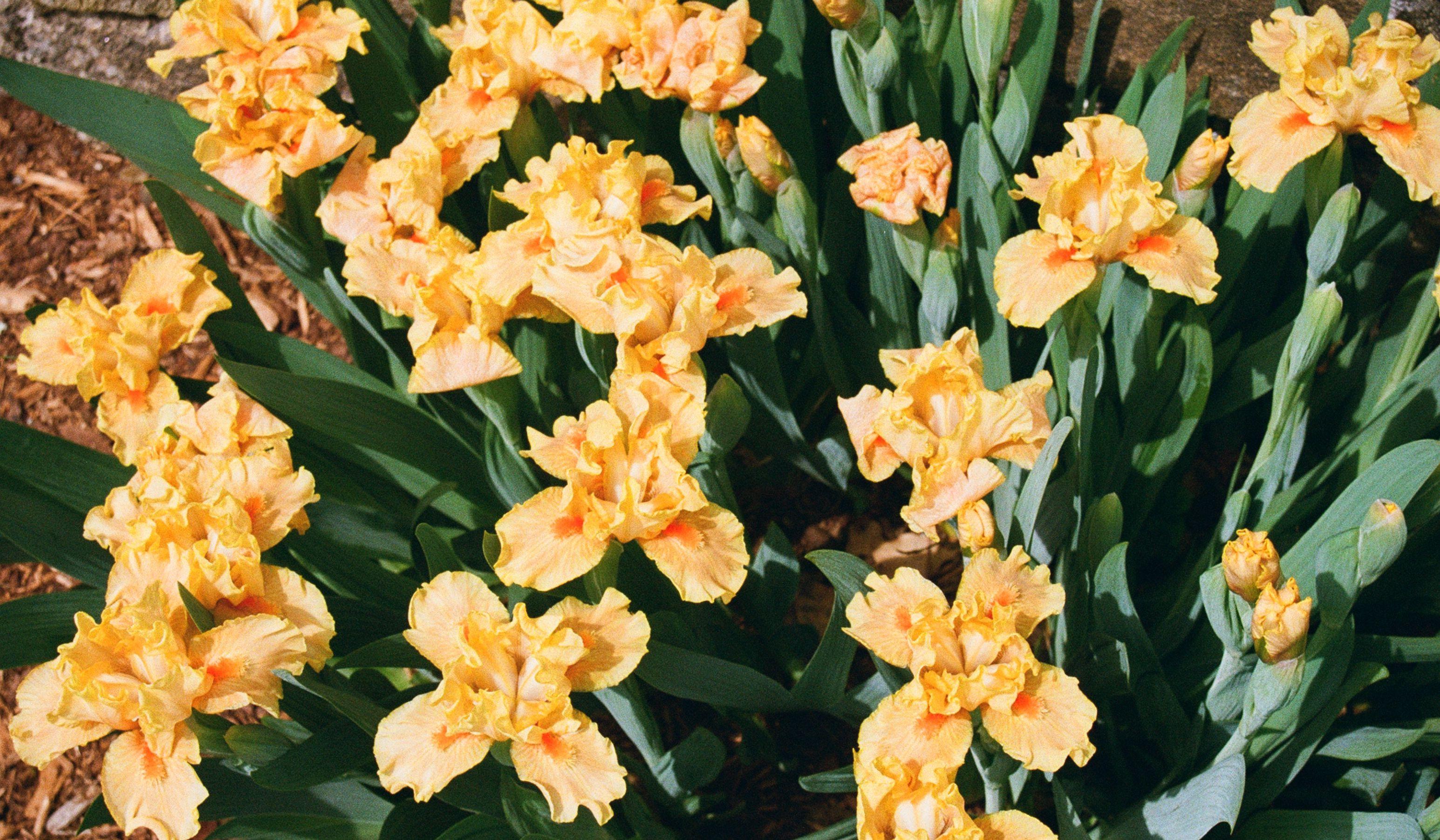 Hero Slideshow Image 3