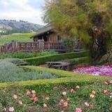 Navarro Vineyards & Winery