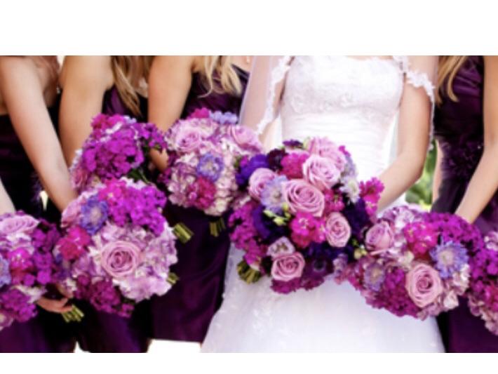The Wedding Website of April Rudolph and Jay Mayes