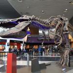Science Museum of Minnesota
