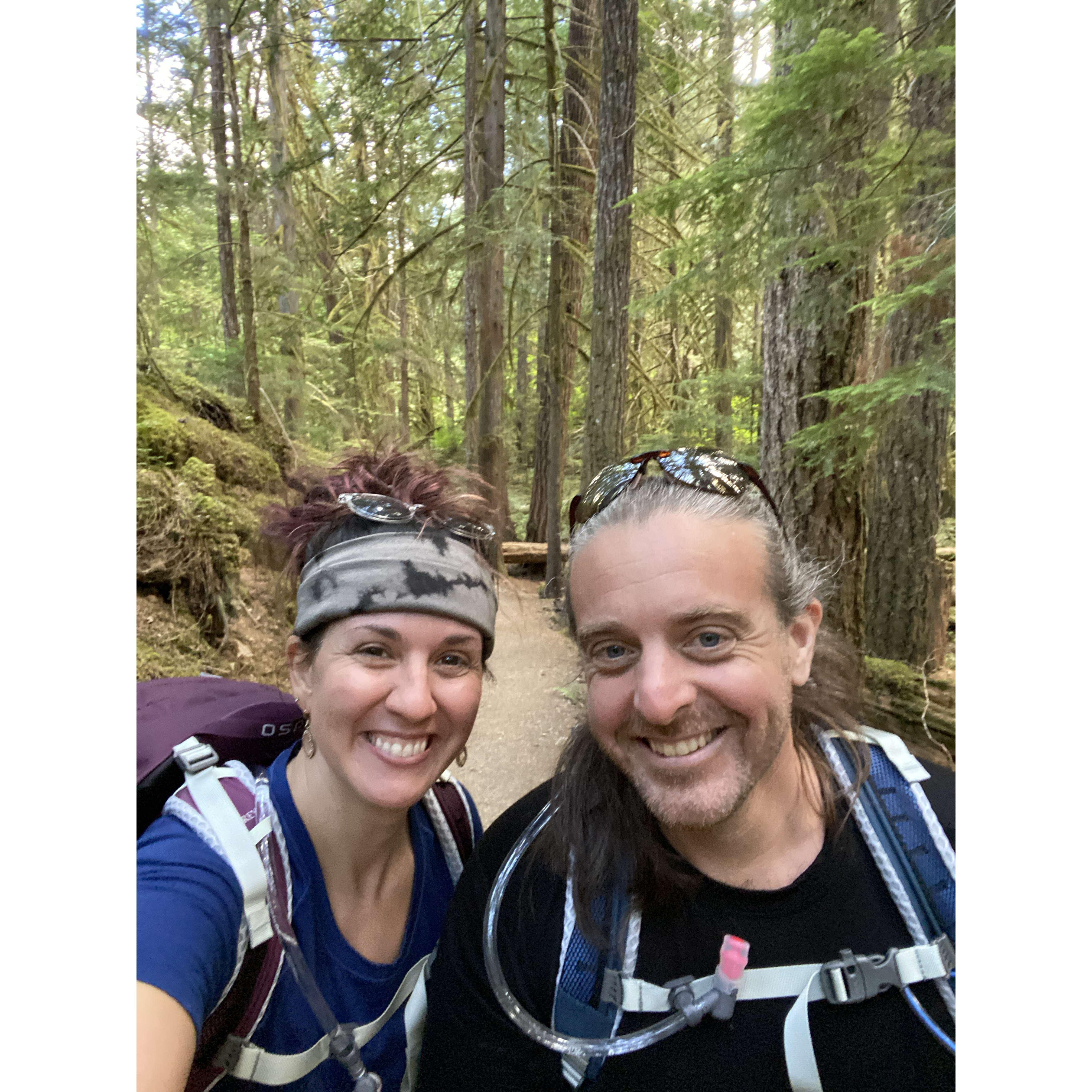 Hoh Rainforest, Olympic National Park, WA