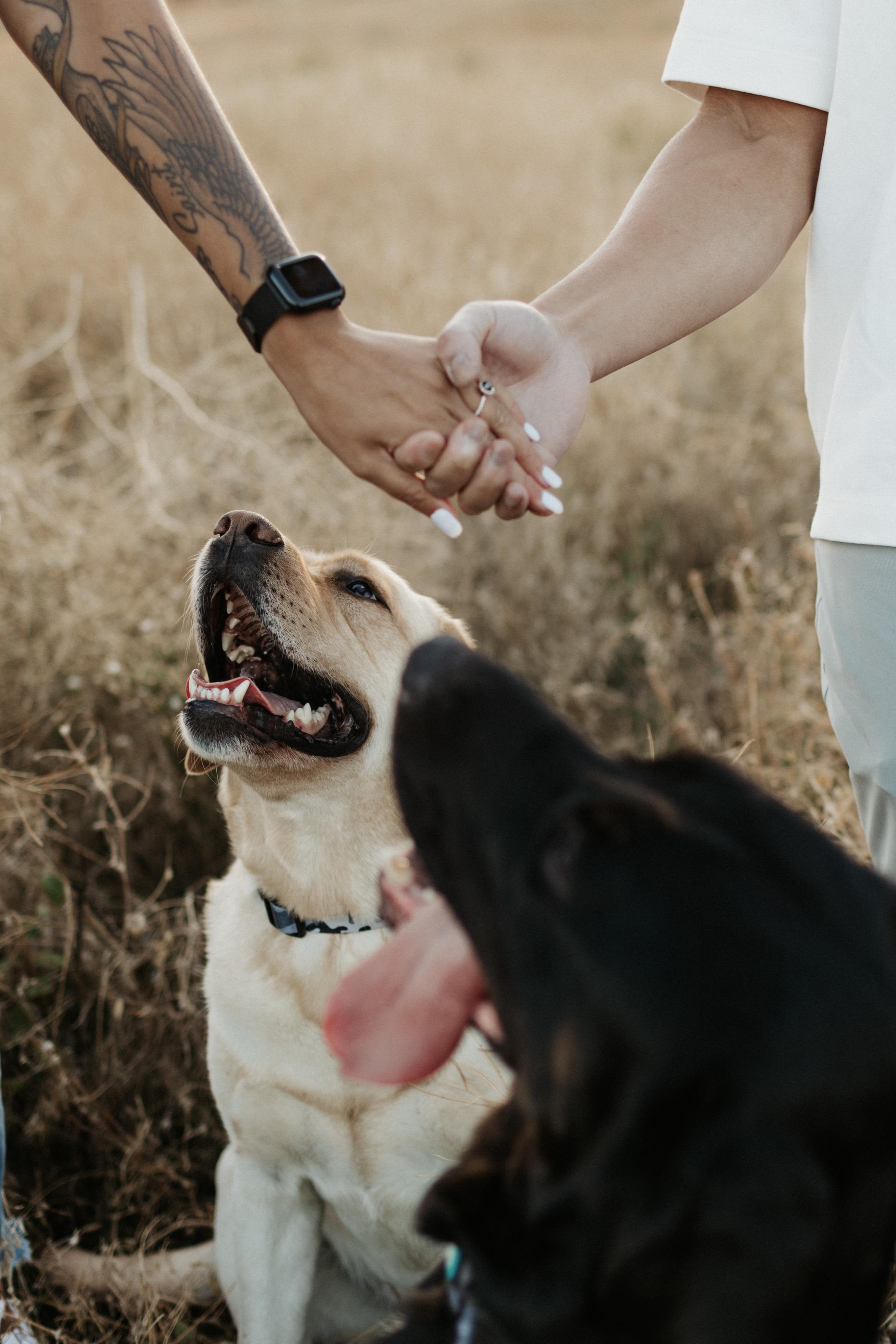 The Wedding Website of Shriya Bakshi and Eric Wong