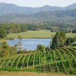Afton Mountain Vineyards