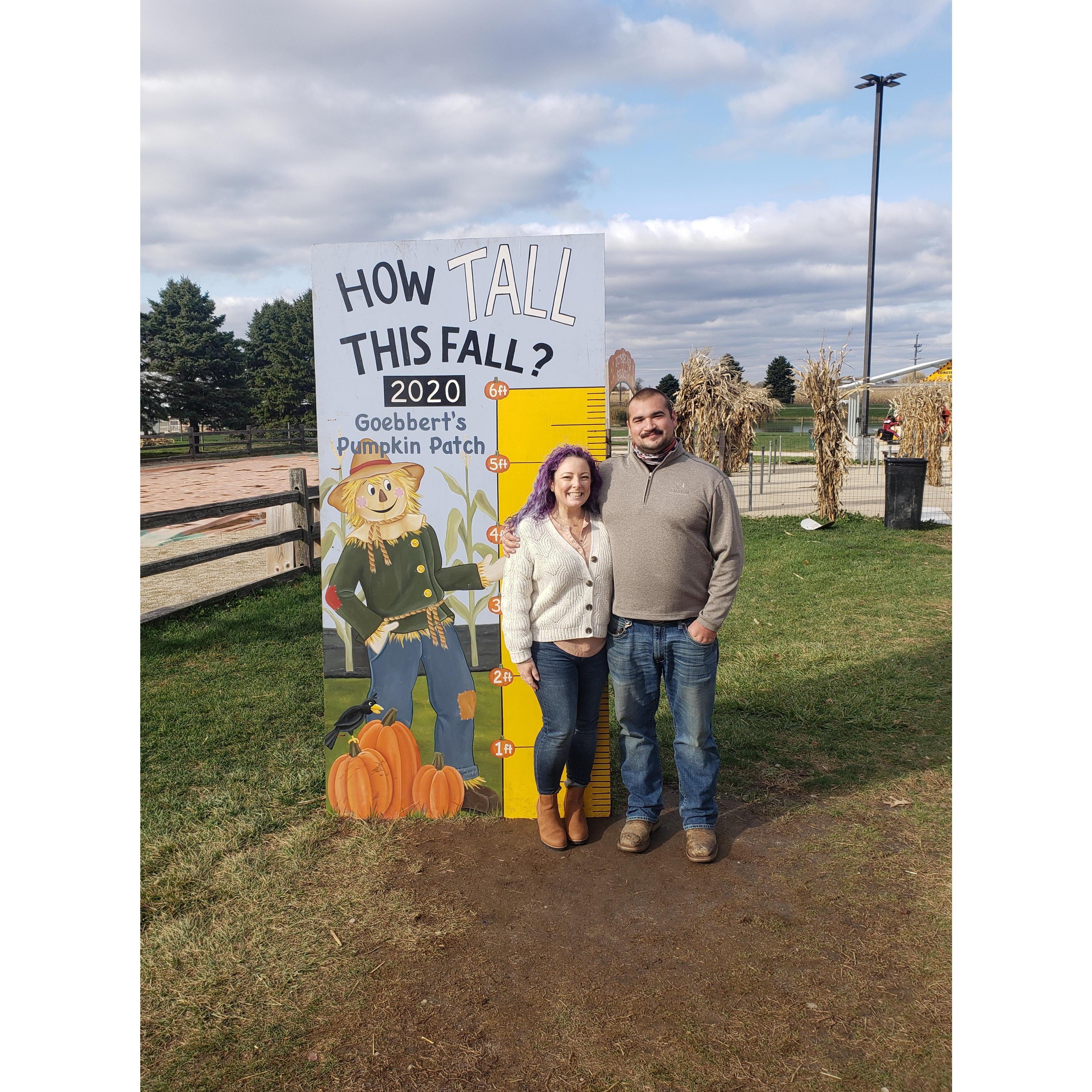 Pumpkin patch before he proposed