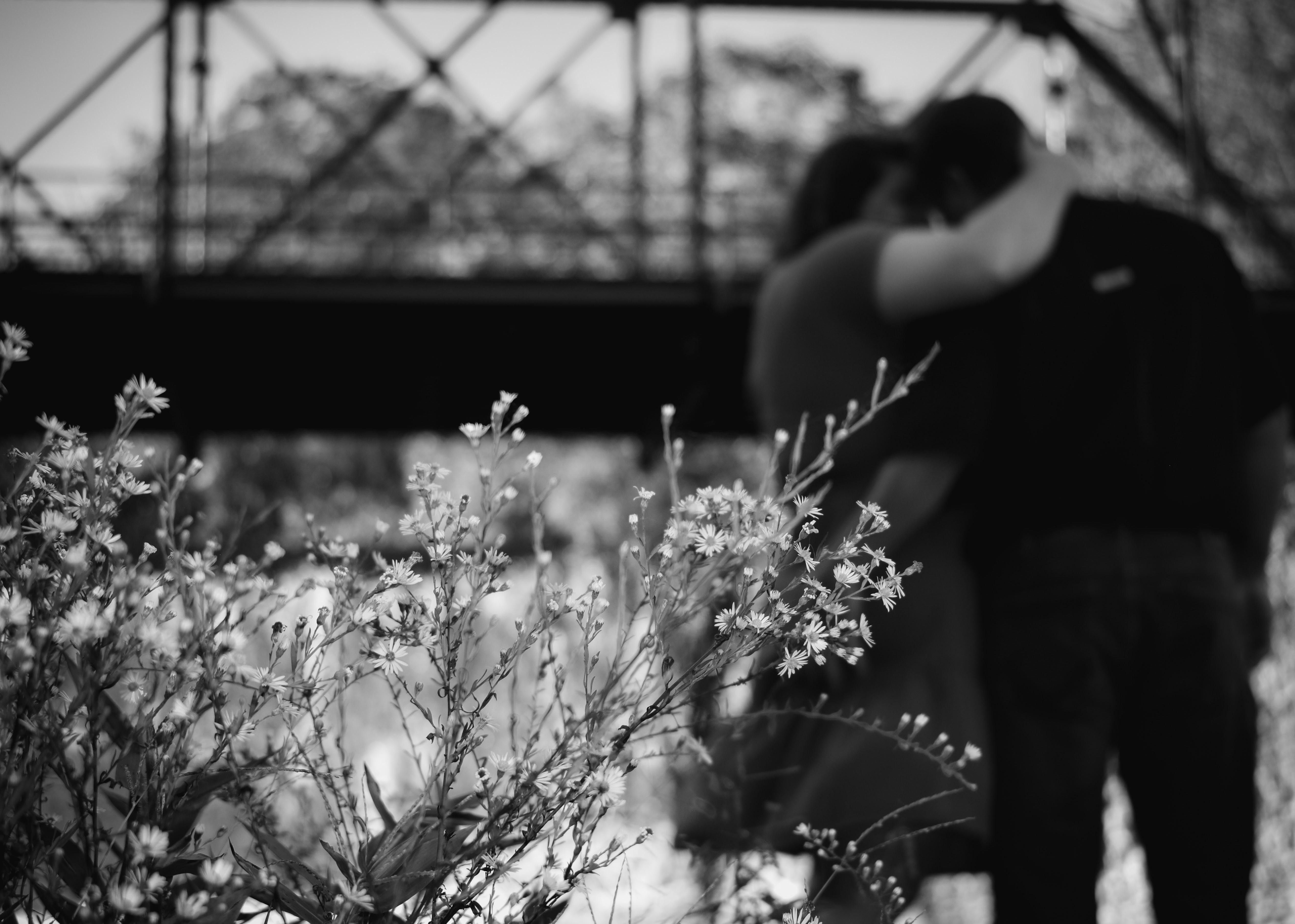 The Wedding Website of KellyAnn De Moll and Eric O’Leslie