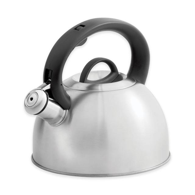 SALT™ 2.1-Quart Stainless Steel Tea Kettle