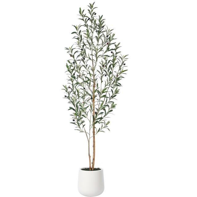 DR.Planzen Artificial Olive Tree with White Planter, 6FT Tall Faux Olive Trees with Natural Wood Trunk