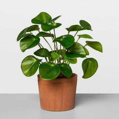 Faux Pilea Potted Plant - Hearth & Hand™ with Magnolia