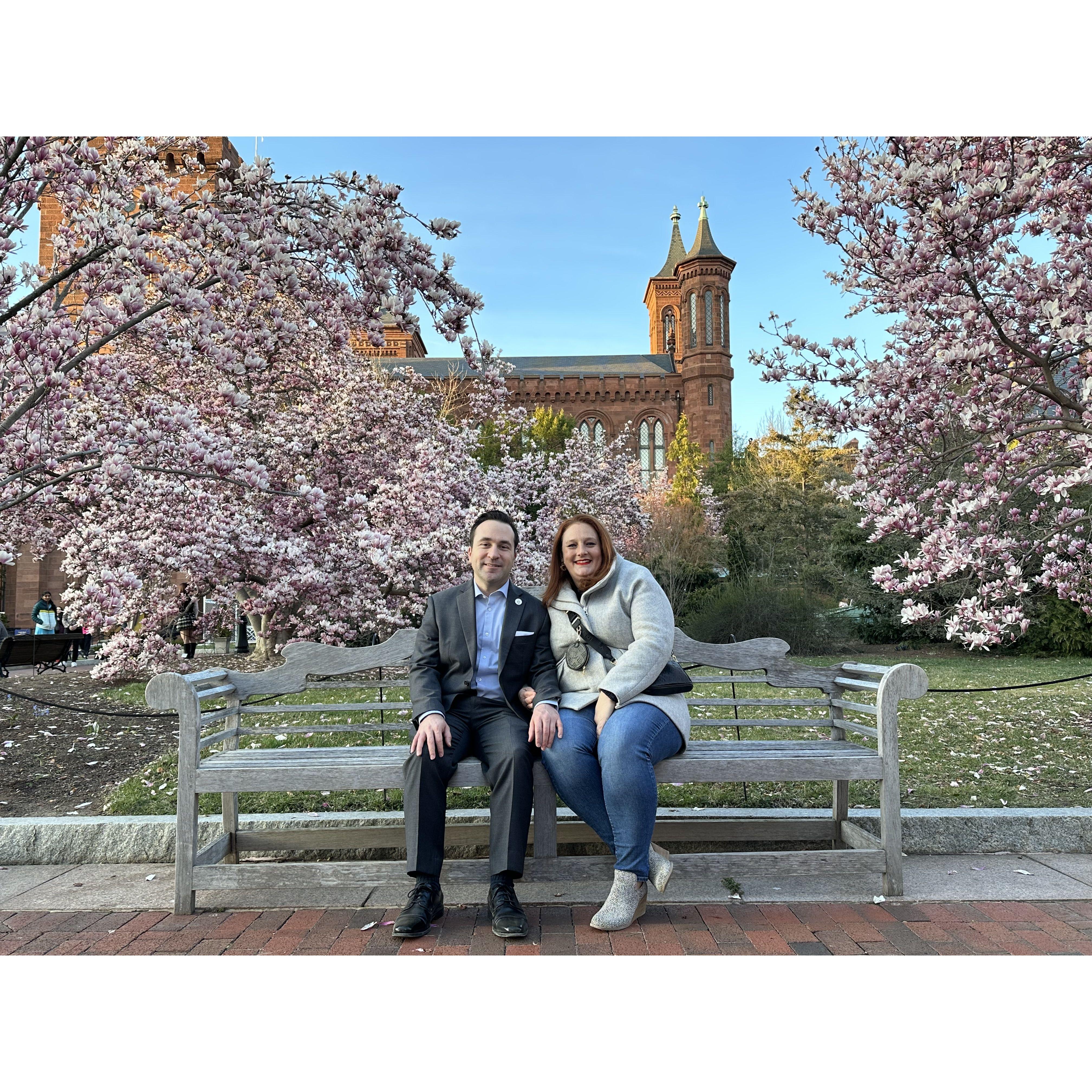 The pink magnolia trees bloom mid march every year - it is Rachel's favorite!